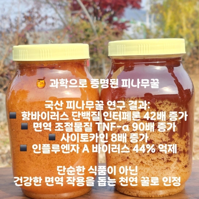 [특가]단맛이 아닌, 에너지와 면역을 담은 귀한  국산 피나무꿀